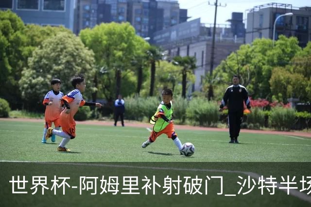 世界杯-阿姆里补射破门 沙特半场暂1-0领先乌拉圭